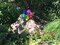 In the Breeze 2691 - 13 Inch Rainbow Sparkle Double Windee Wheelz Spinner - Colorful Wind Spinner for your Yard and Garden